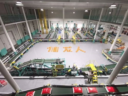 智能科技賦能傳統(tǒng)產(chǎn)業(yè) 漳州佳龍一站式包裝服務(wù)如何解放米廠(chǎng)工人雙手